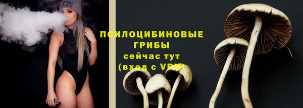 PSILOCYBIN Дмитров
