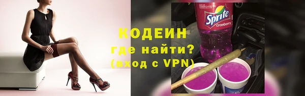гашик Дмитровск