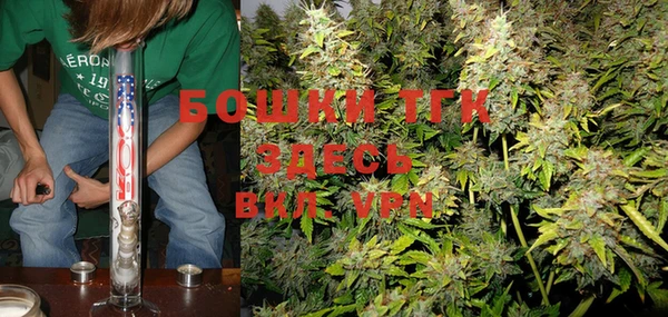 PSILOCYBIN Дмитров