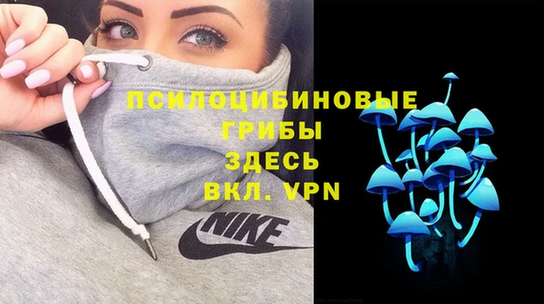 PSILOCYBIN Дмитров