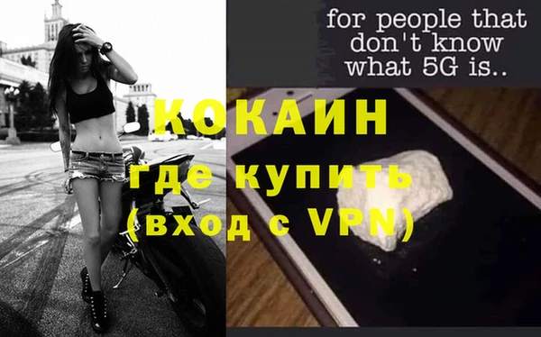 гашик Дмитровск