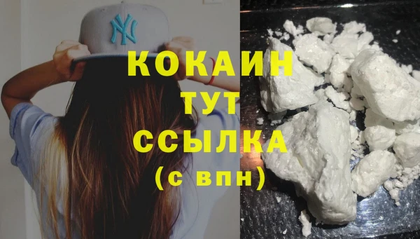 PSILOCYBIN Дмитров