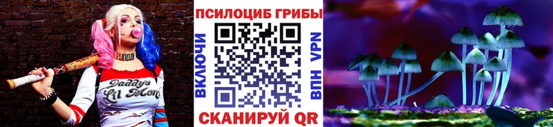 Псилоцибиновые грибы мухоморы  наркотики  Сретенск 